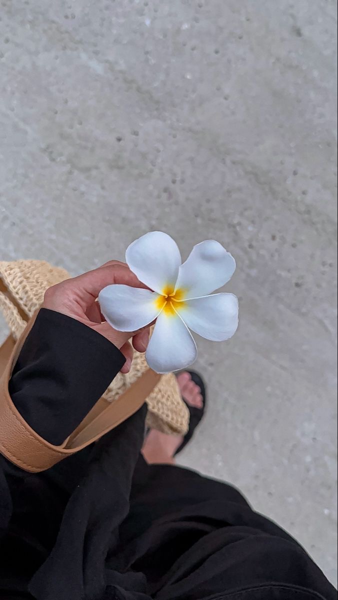 Sustainable Swimwear: Eco-Friendly Brands Making Waves in the Industry